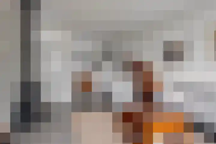 Koekoeksweg 3 Dwingeloo thumbnail 4