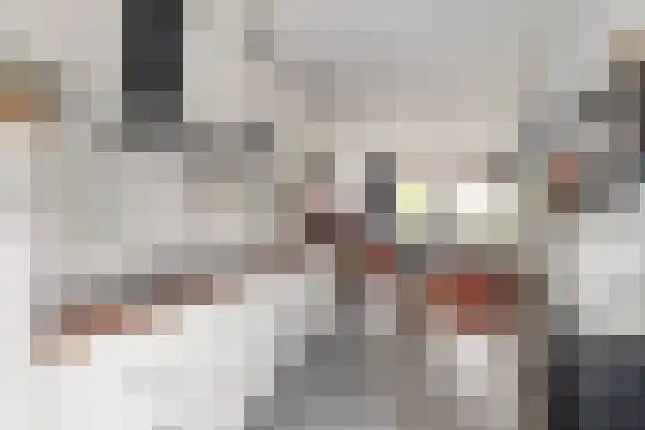 Koekoeksweg 3 Dwingeloo thumbnail 6