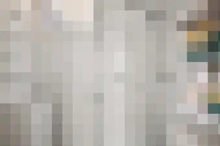 Koekoeksweg 3 Dwingeloo thumbnail 9