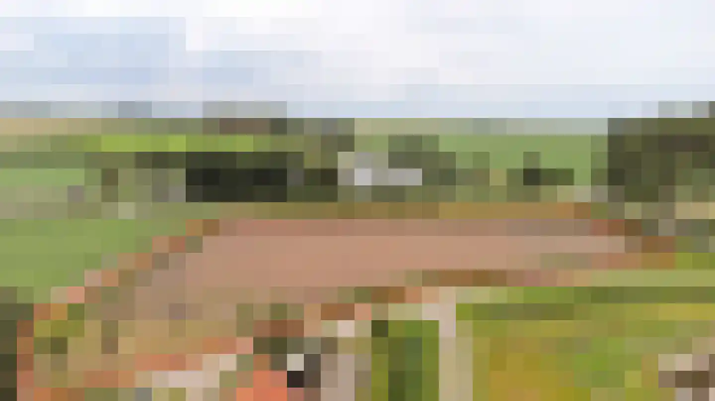 Koekoeksweg 3 Sint-Maartensdijk