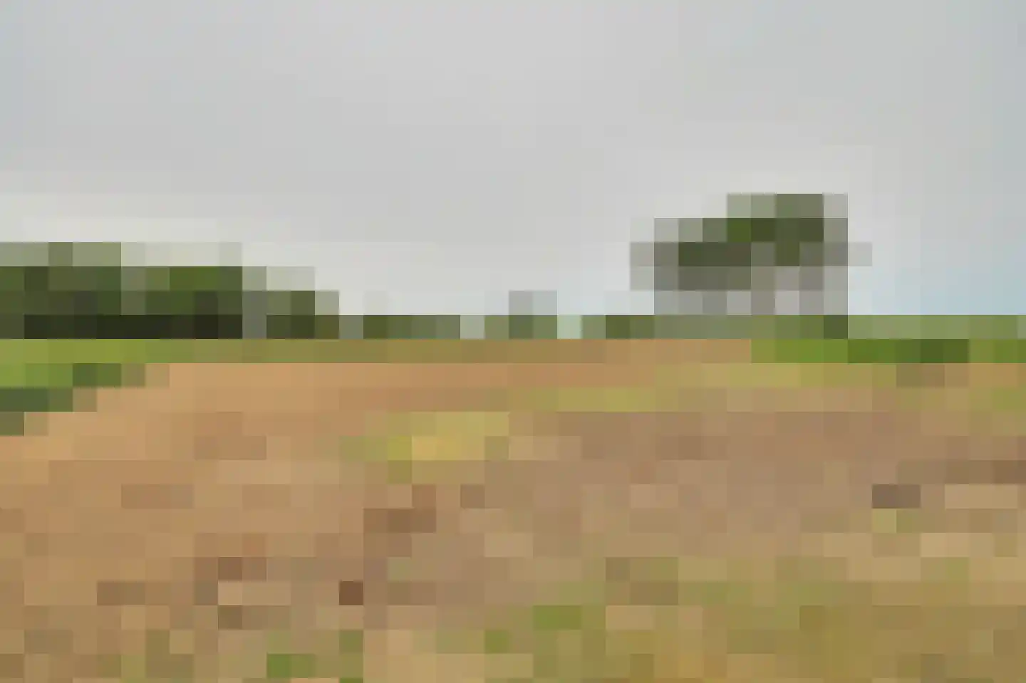 Koekoeksweg 3 Sint-Maartensdijk thumbnail 15