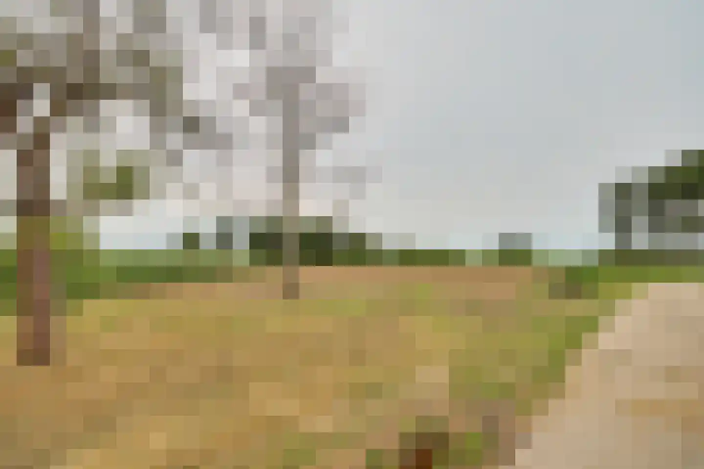 Koekoeksweg 3 Sint-Maartensdijk thumbnail 16