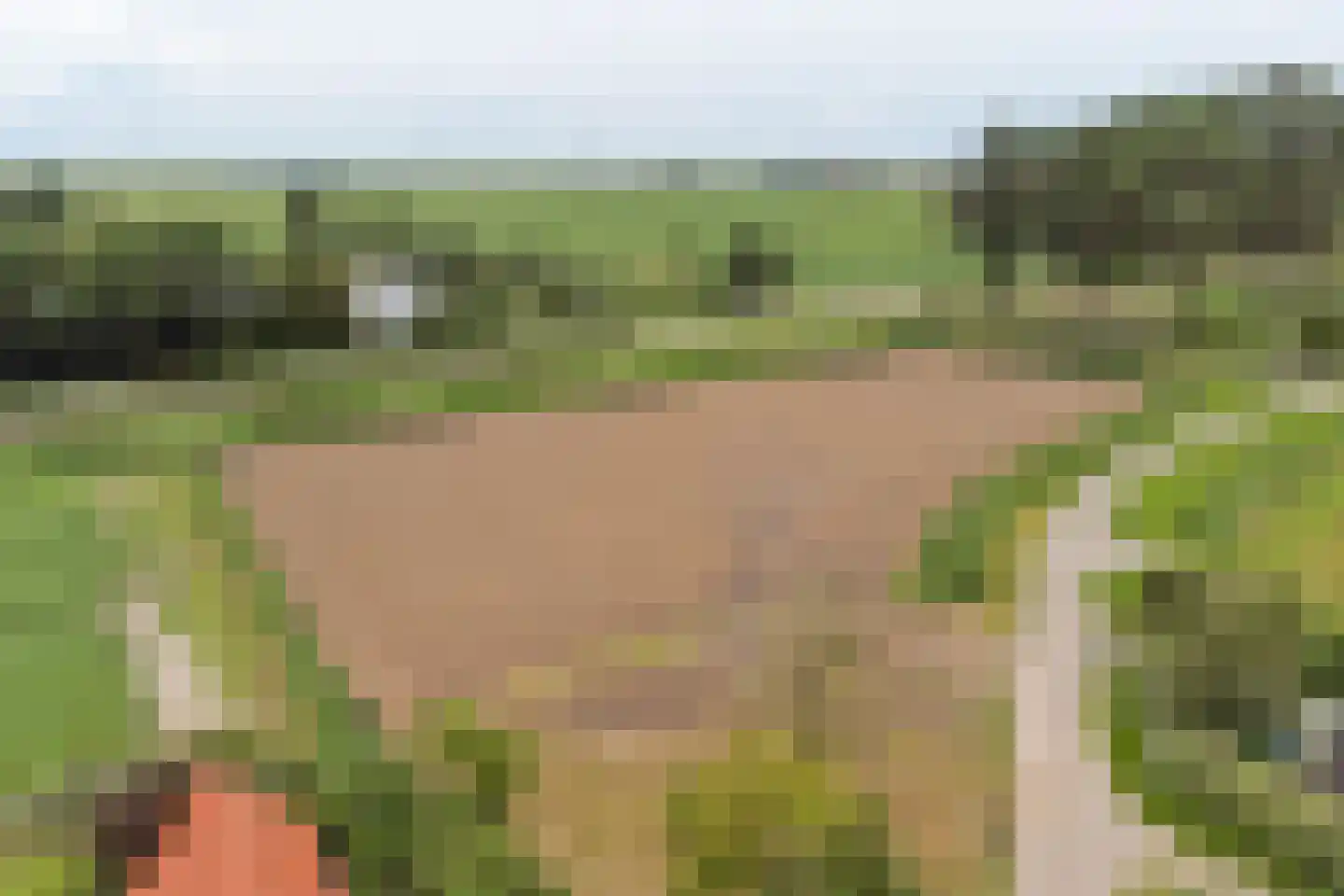 Koekoeksweg 3 Sint-Maartensdijk foto 2
