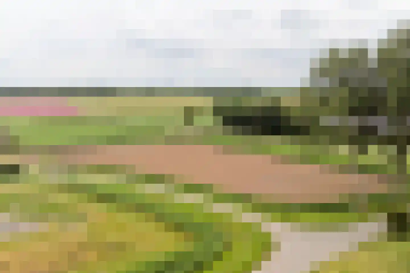 Koekoeksweg 3 Sint-Maartensdijk thumbnail 4