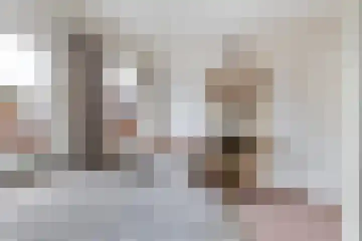 Koekoeksweg 8 Vaassen thumbnail 24