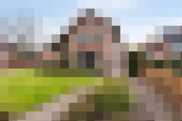 Koekoeksweg 8 Vaassen foto 3