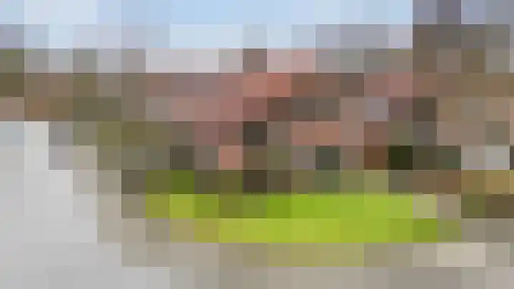 Koekoeksweg 8 Vaassen thumbnail 40