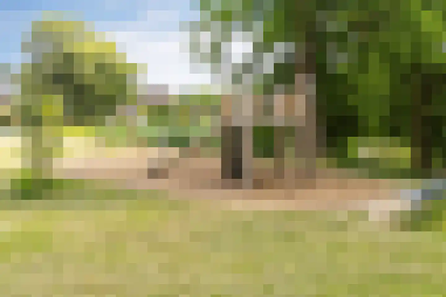 Koekoekveld 16 Zoetermeer thumbnail 11
