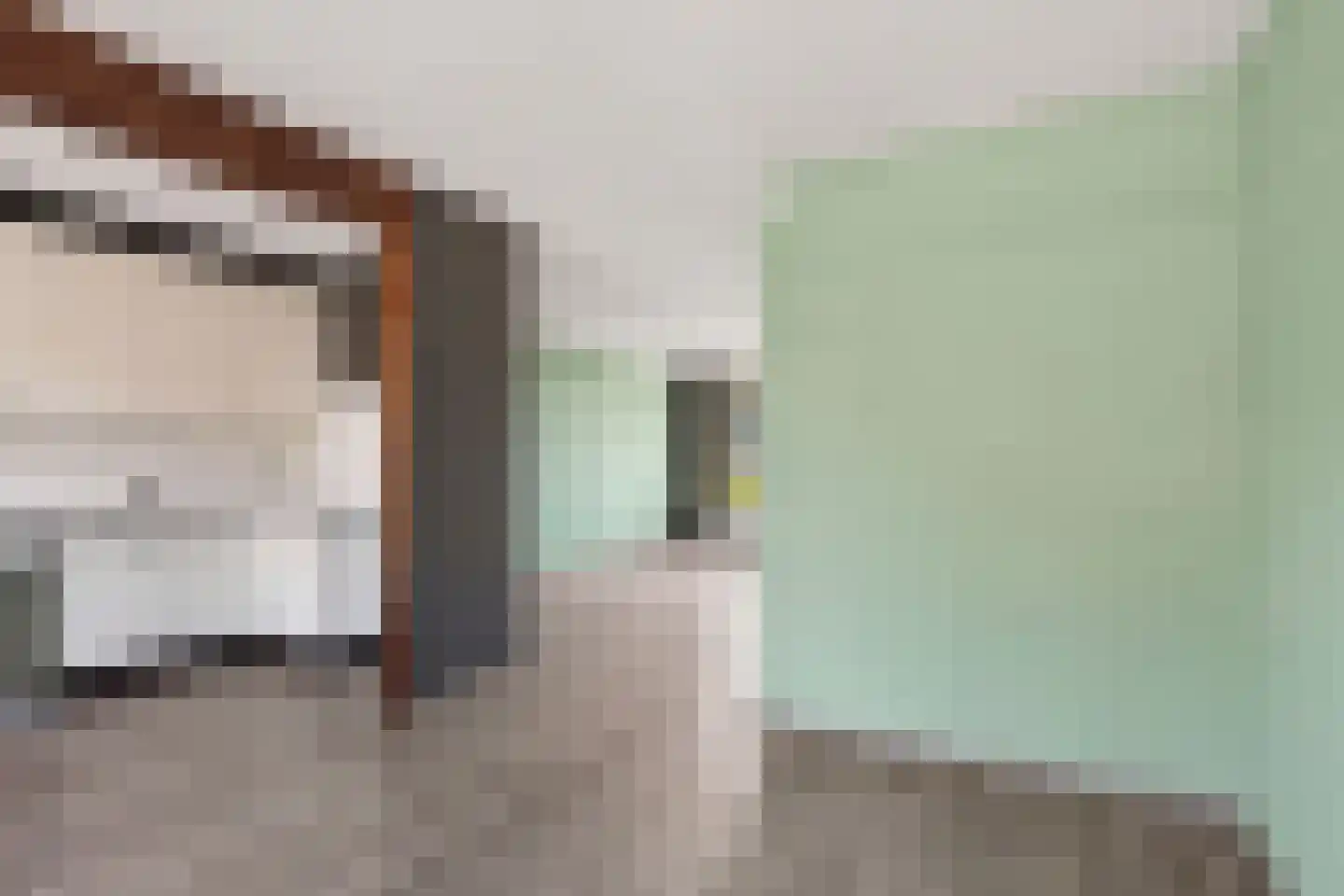 Koekoekveld 16 Zoetermeer thumbnail 19