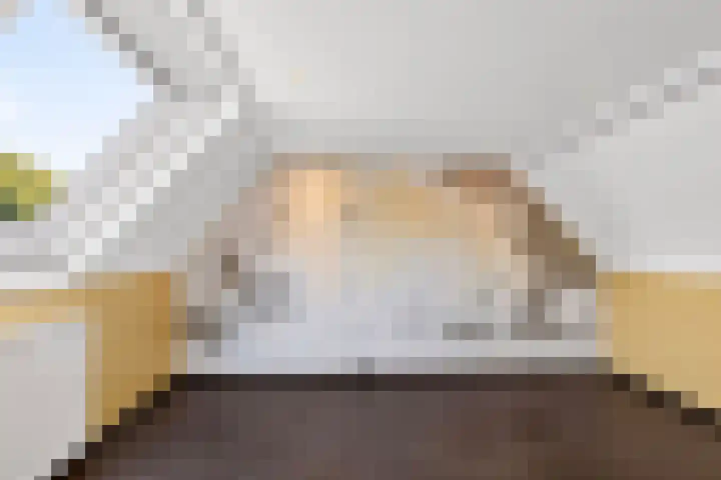 Koekoekveld 16 Zoetermeer thumbnail 34
