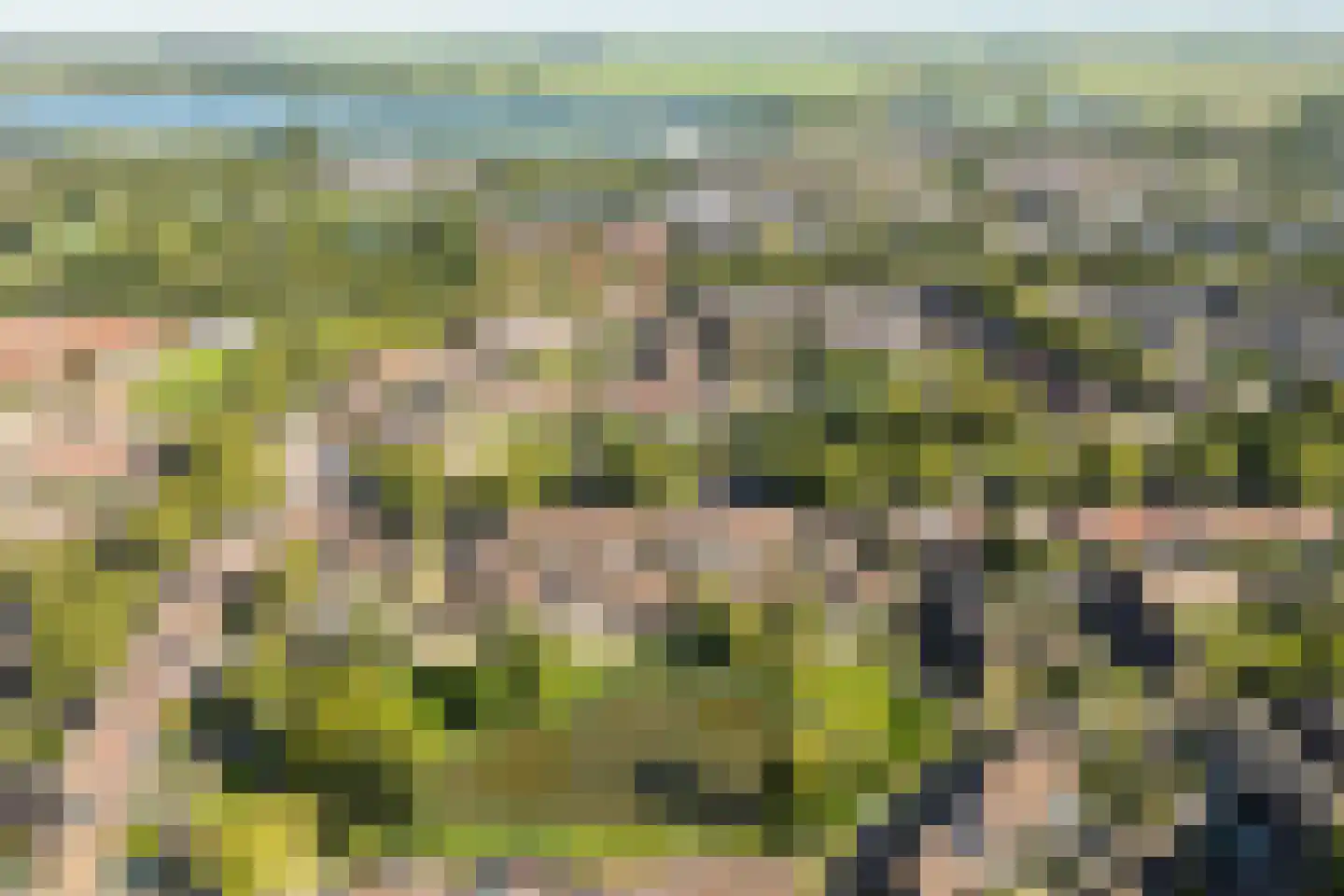 Koekoekveld 16 Zoetermeer thumbnail 41