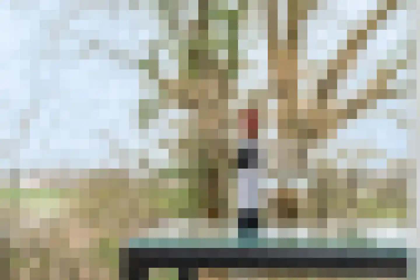 Koekoekweg 12 Rhenen thumbnail 19