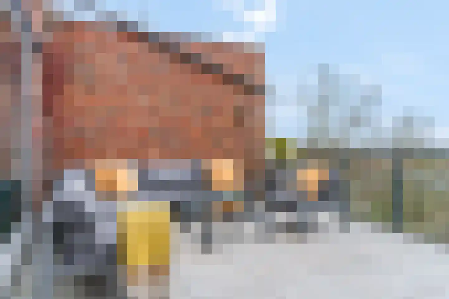 Koekoekweg 12 Rhenen thumbnail 36