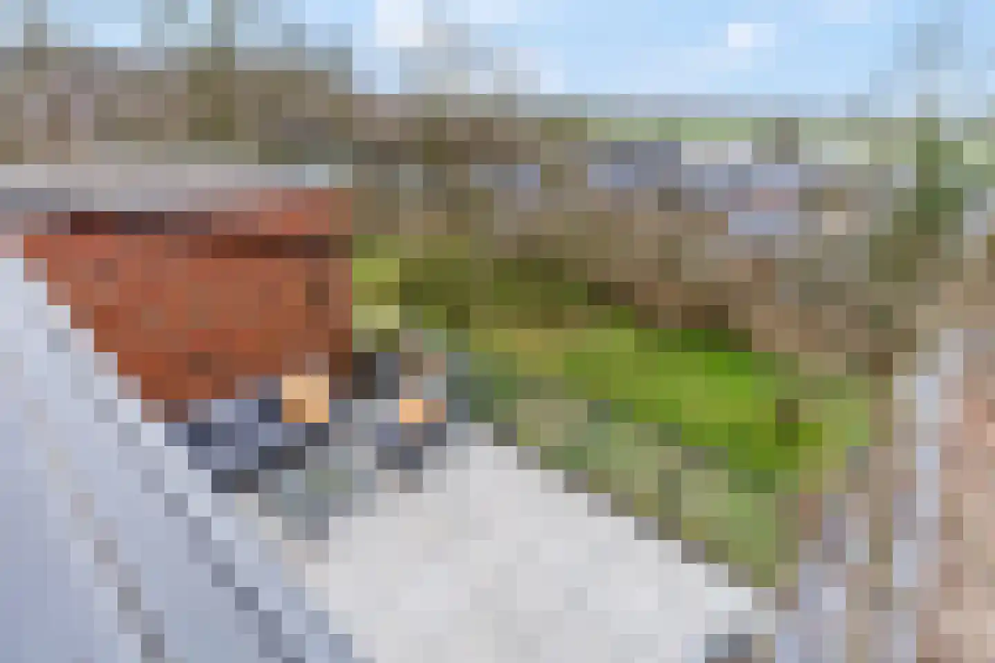 Koekoekweg 12 Rhenen thumbnail 37