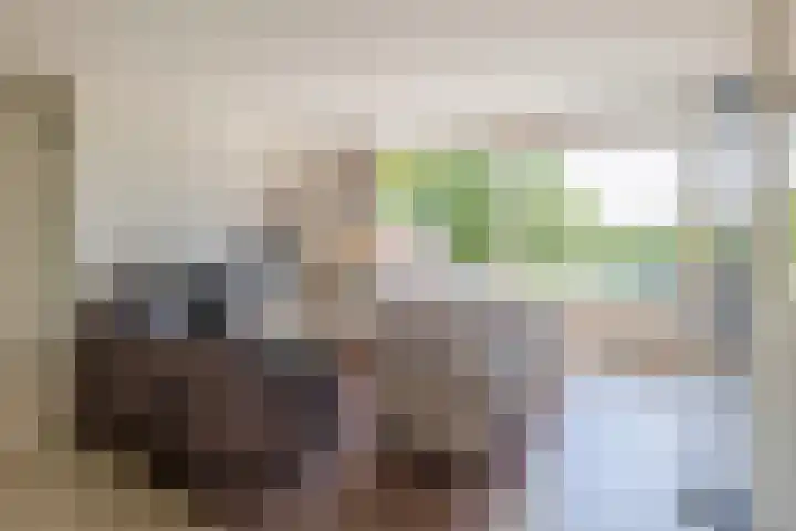 Koekoekweg 14 Rhenen thumbnail 12