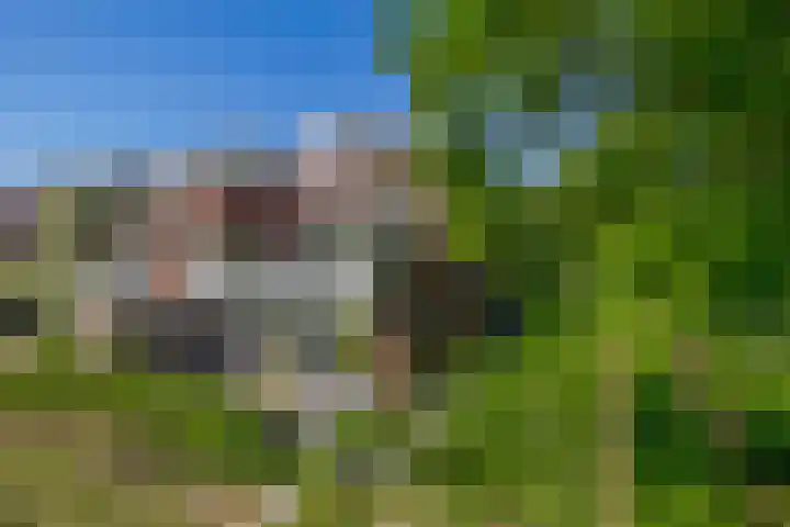 Koekoekweg 14 Rhenen thumbnail 4