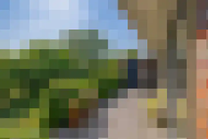 Koekoekweg 14 Rhenen thumbnail 41