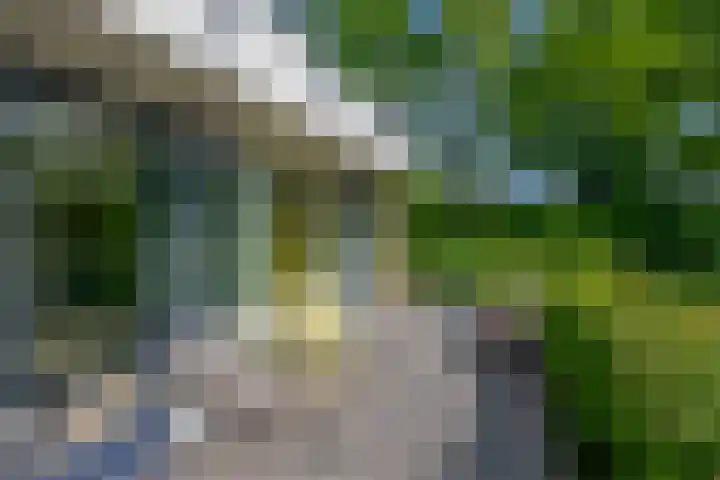 Koekoekweg 14 Rhenen thumbnail 42
