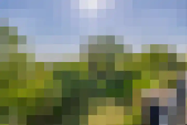 Koekoekweg 14 Rhenen thumbnail 47