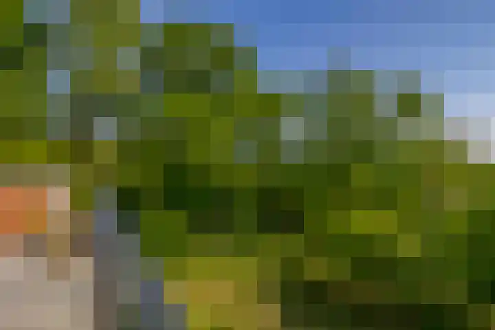 Koekoekweg 14 Rhenen thumbnail 48