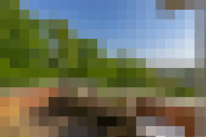 Koekoekweg 14 Rhenen thumbnail 50