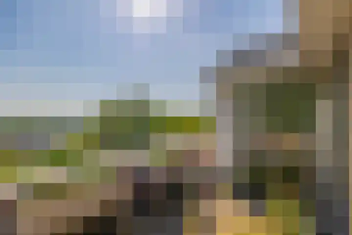Koekoekweg 14 Rhenen thumbnail 51