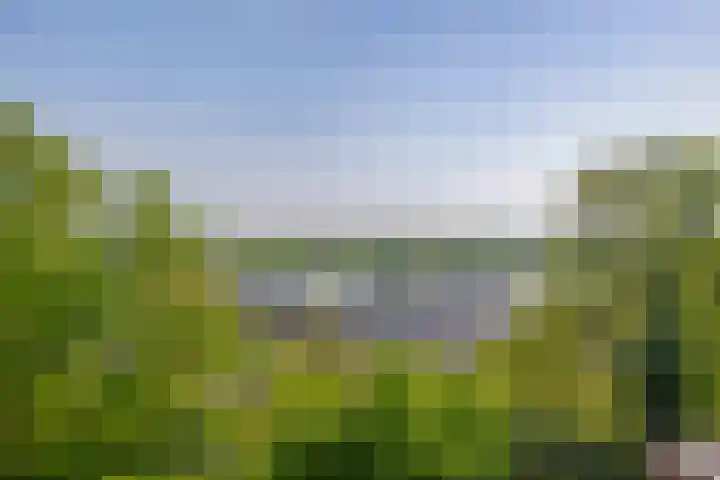 Koekoekweg 14 Rhenen thumbnail 53