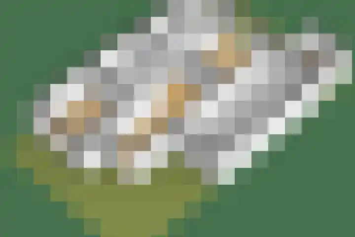 Koekoekweg 14 Rhenen thumbnail 61