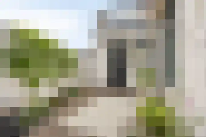 Koekoekweg 28 Hengelo thumbnail 36
