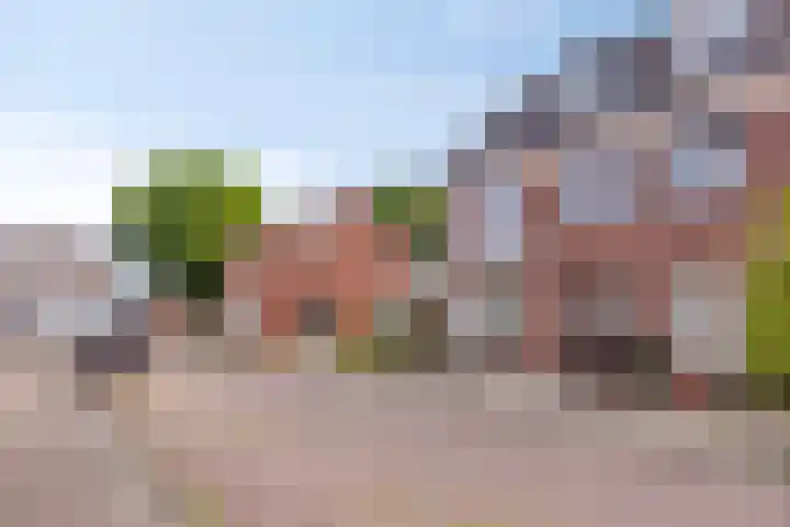 Koekoekweg 28 Hengelo thumbnail 41