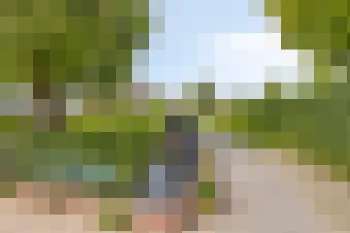 Koekoekweg 28 Hengelo thumbnail 43