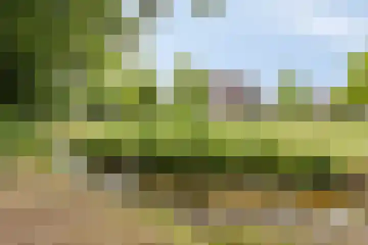Koekoekweg 28 Hengelo thumbnail 44