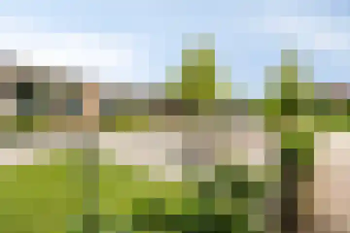Koekoekweg 28 Hengelo thumbnail 45