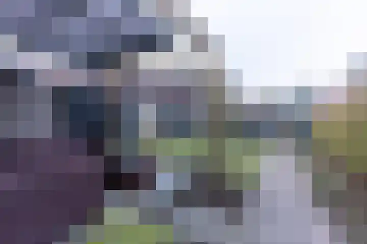 Koekoekweg 7 Soest thumbnail 31