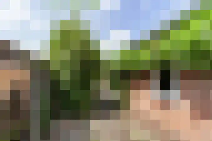 Koekoekweg 8 Soest thumbnail 22