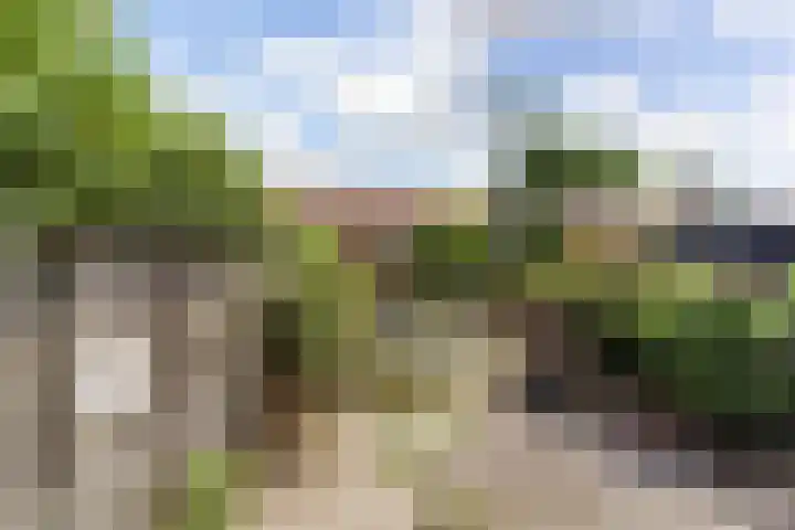 Koekoekweg 8 Soest thumbnail 23