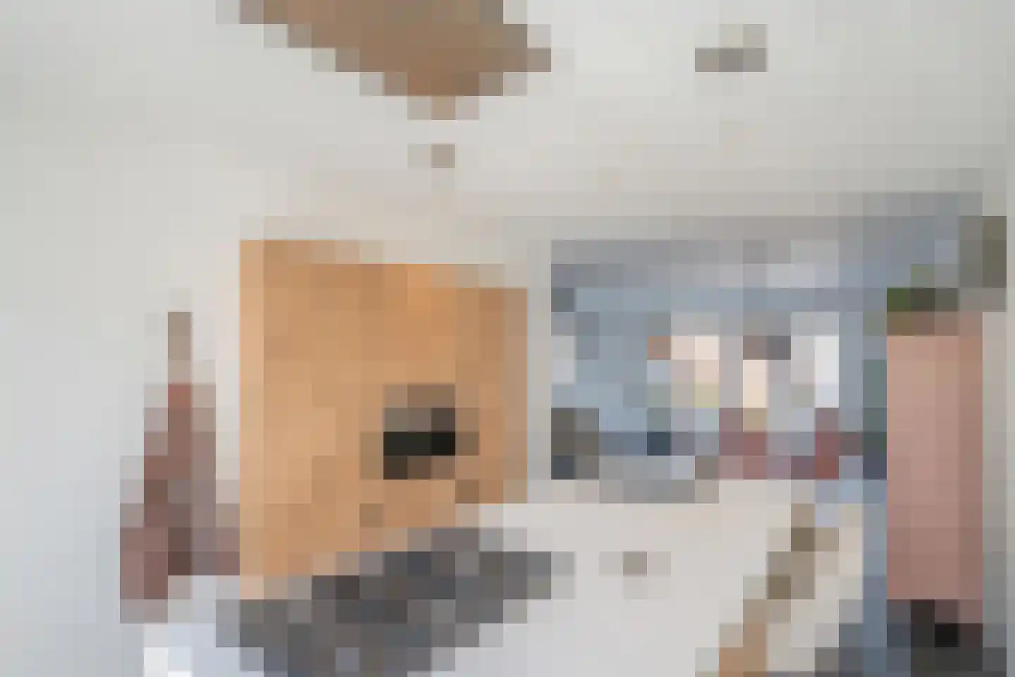 Koekoekzoom 30 Pijnacker thumbnail 13