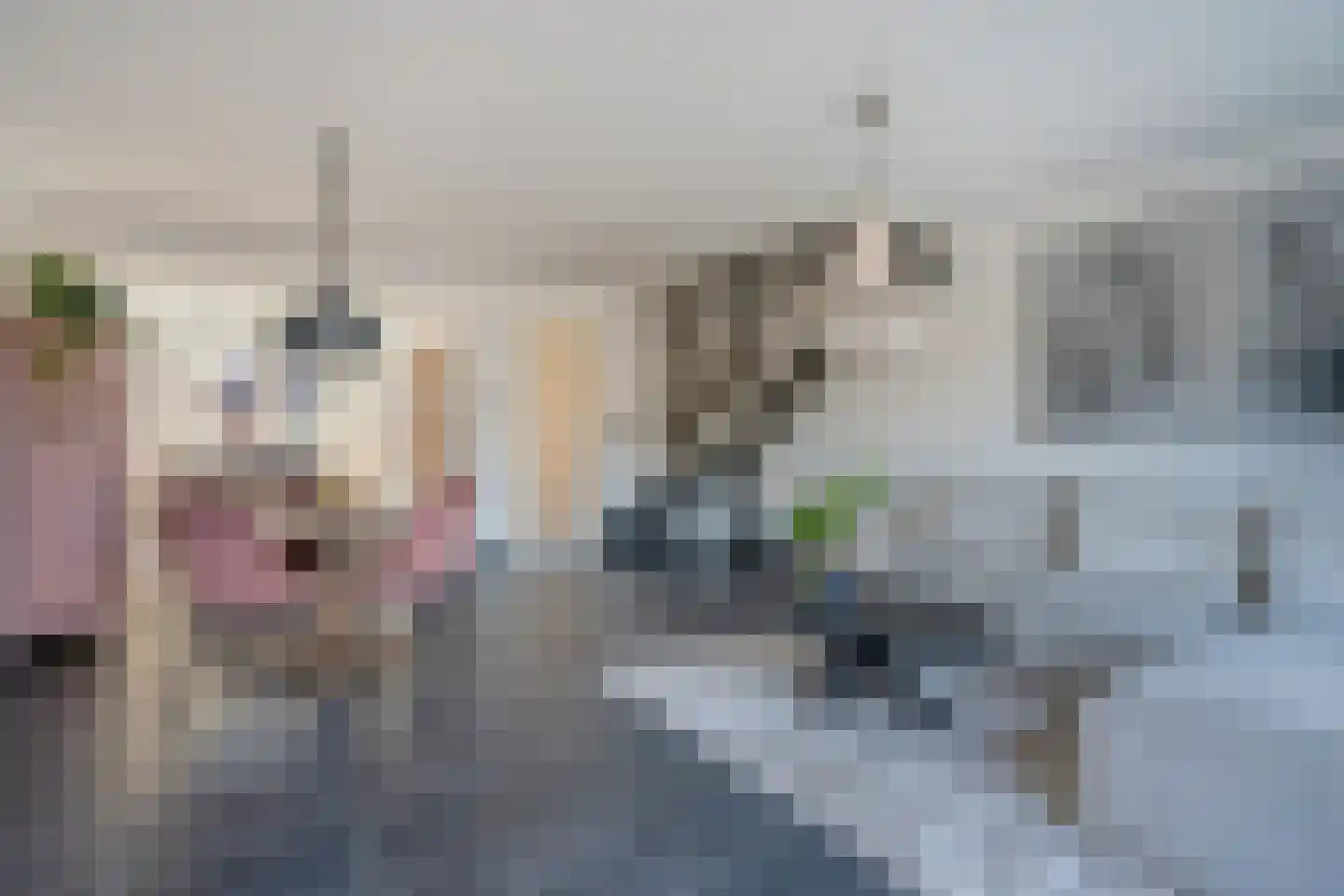 Koekoekzoom 30 Pijnacker thumbnail 15