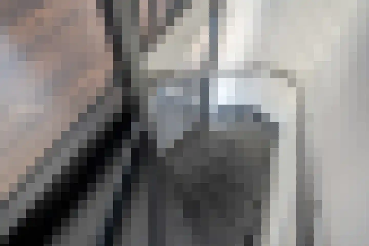 Koekoekzoom 30 Pijnacker thumbnail 20