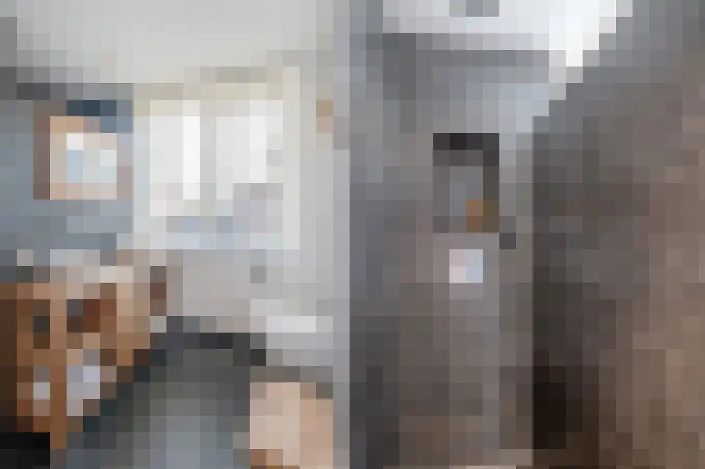 Koekoekzoom 30 Pijnacker thumbnail 23