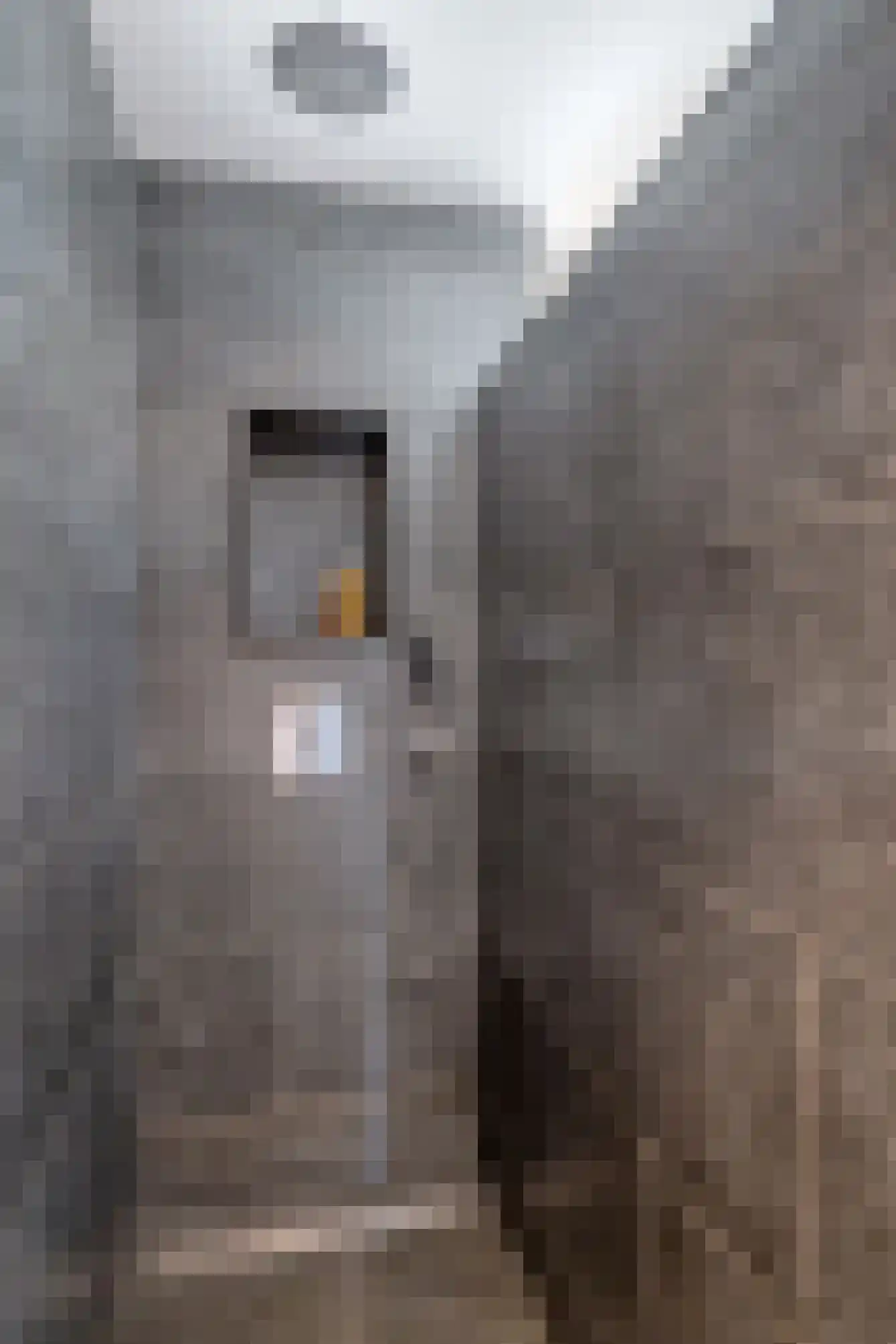Koekoekzoom 30 Pijnacker thumbnail 25