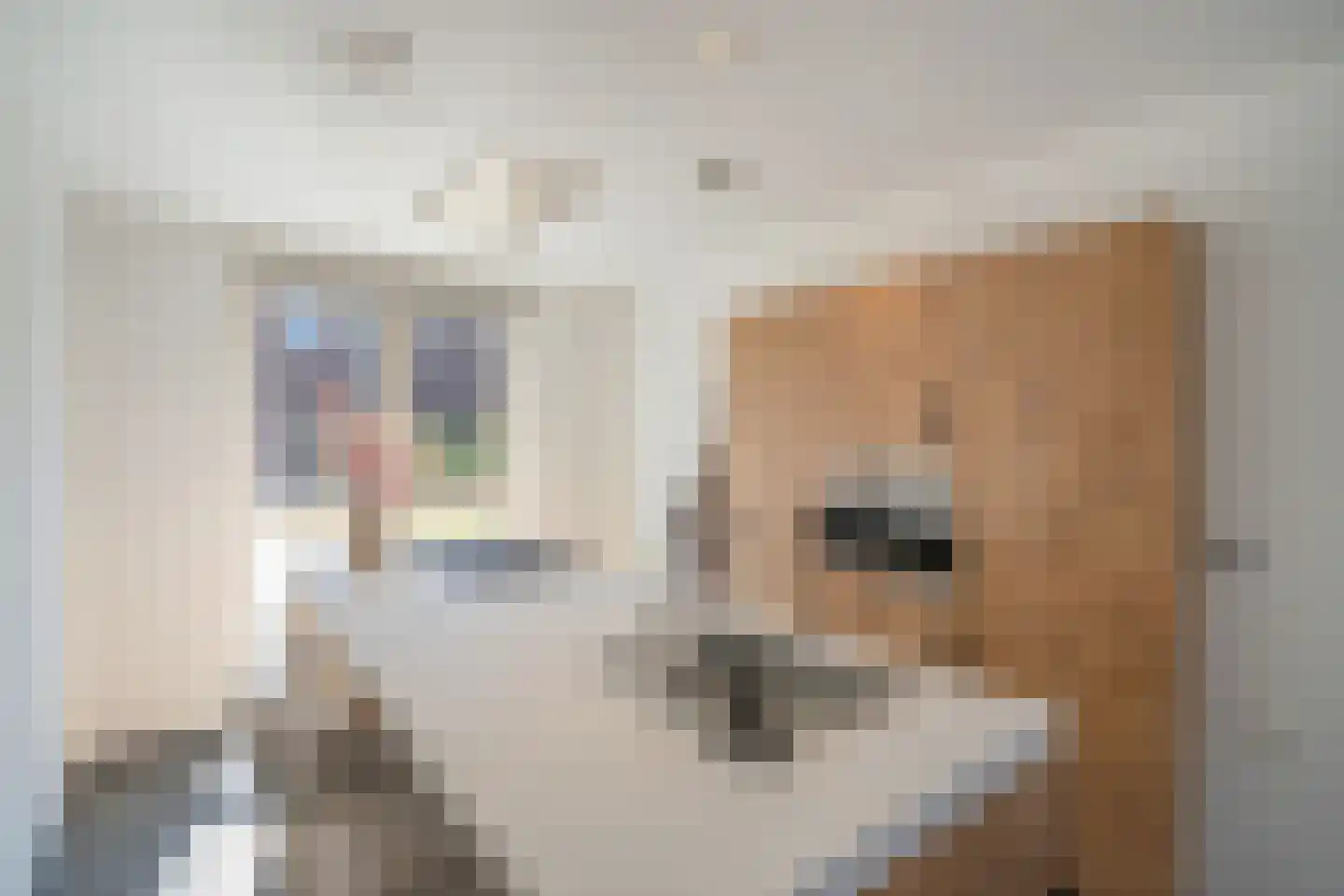 Koekoekzoom 30 Pijnacker foto 3