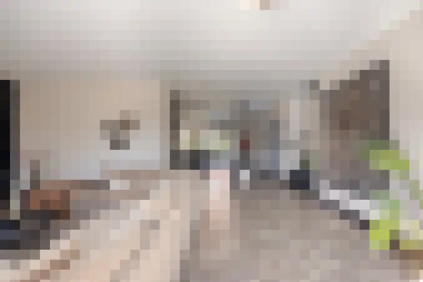 Koekoekzoom 35 Pijnacker thumbnail 14