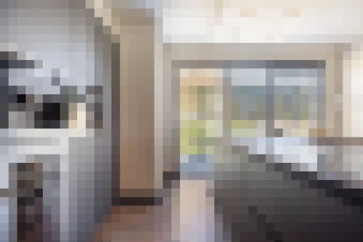 Koekoekzoom 35 Pijnacker thumbnail 15