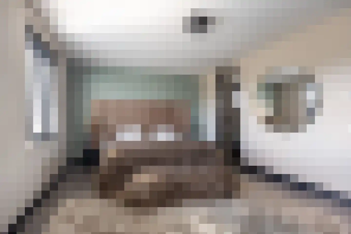 Koekoekzoom 35 Pijnacker thumbnail 26