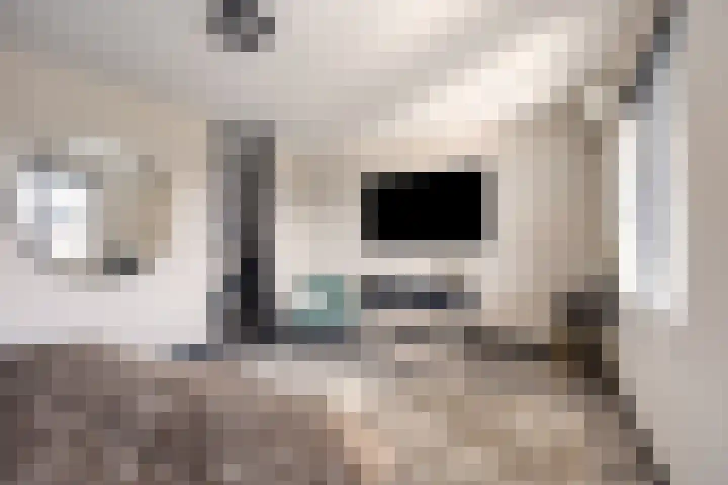 Koekoekzoom 35 Pijnacker thumbnail 27