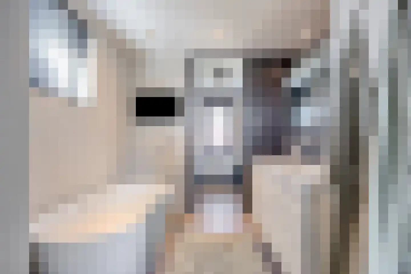 Koekoekzoom 35 Pijnacker thumbnail 29