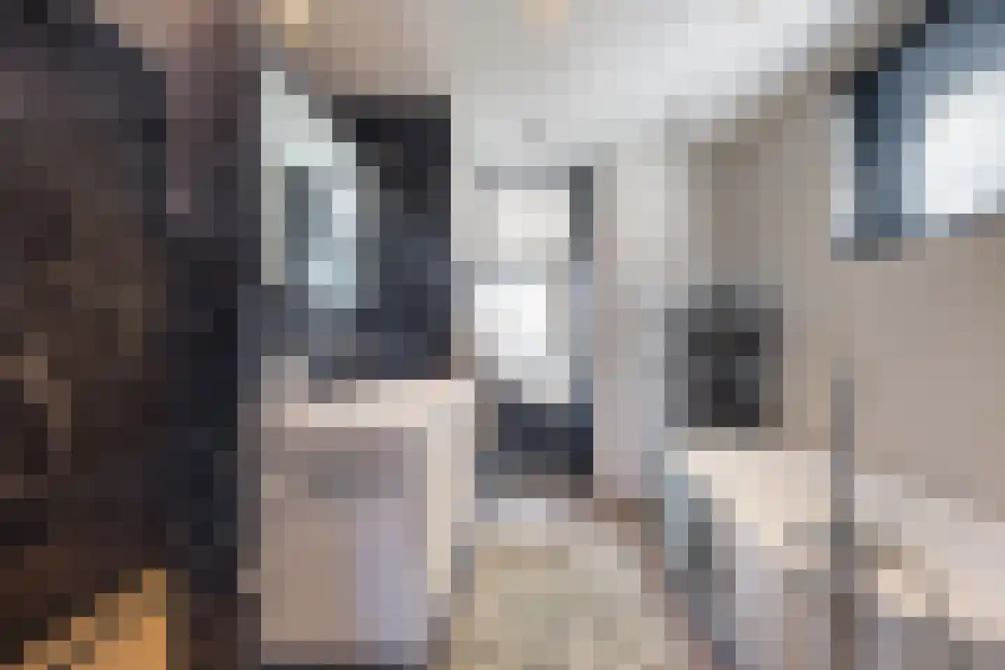 Koekoekzoom 35 Pijnacker thumbnail 31