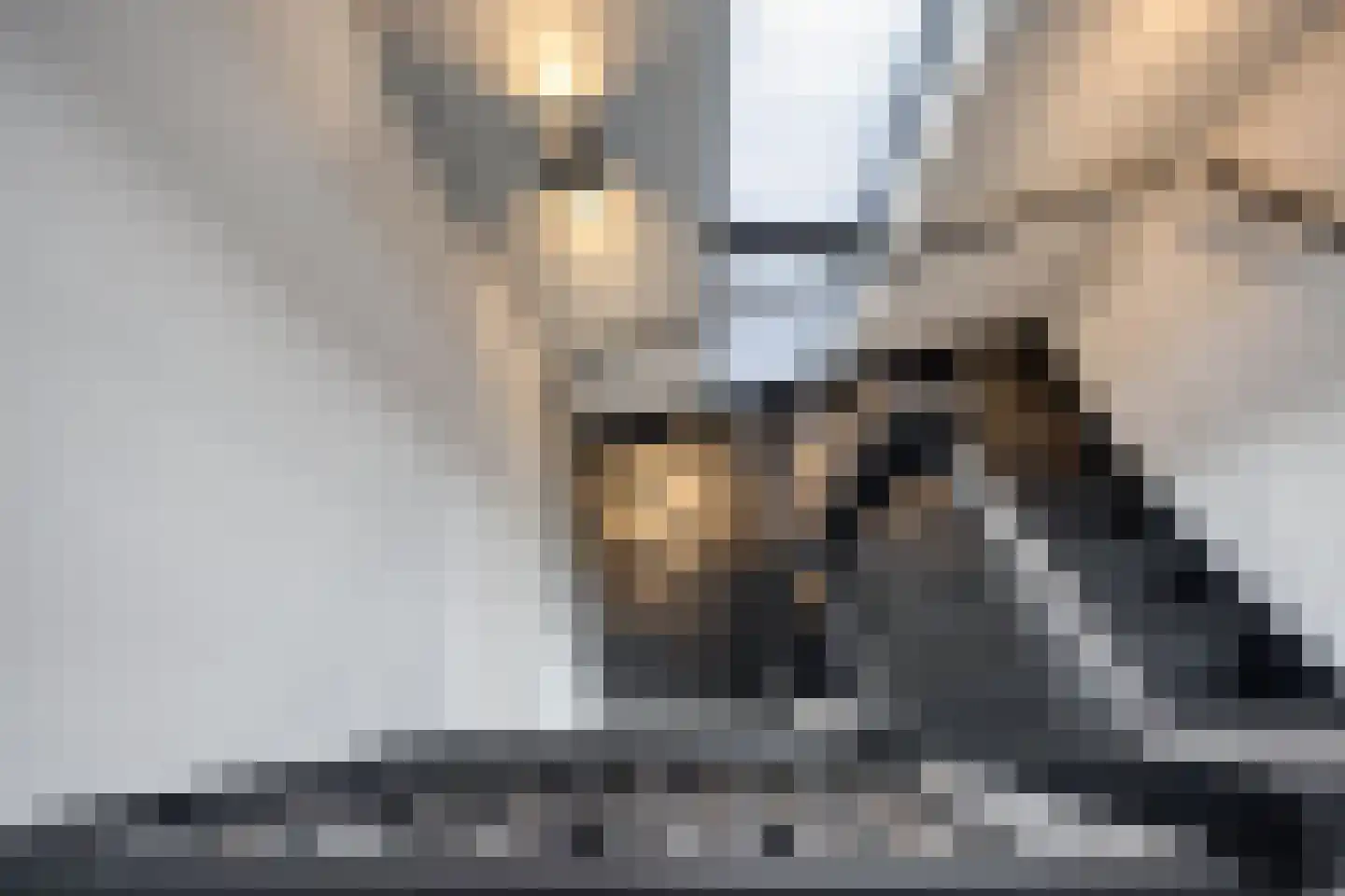 Koekoekzoom 35 Pijnacker thumbnail 37