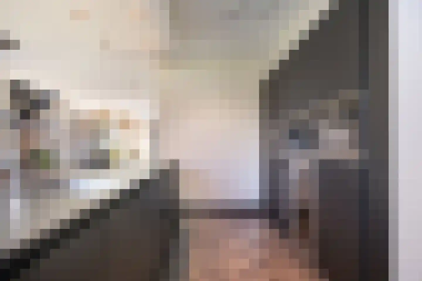 Koekoekzoom 35 Pijnacker thumbnail 4